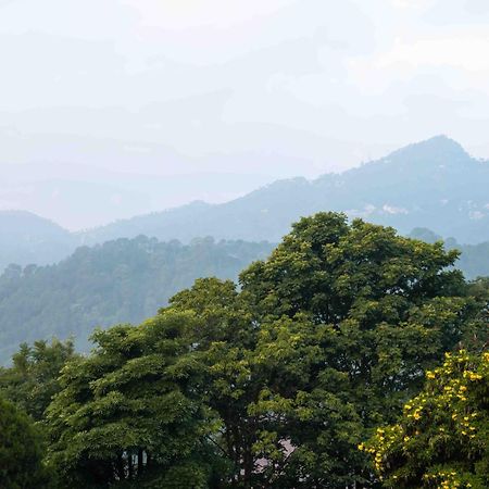 The Fern Surya Resort Kasauli Hills, Dharampur Экстерьер фото